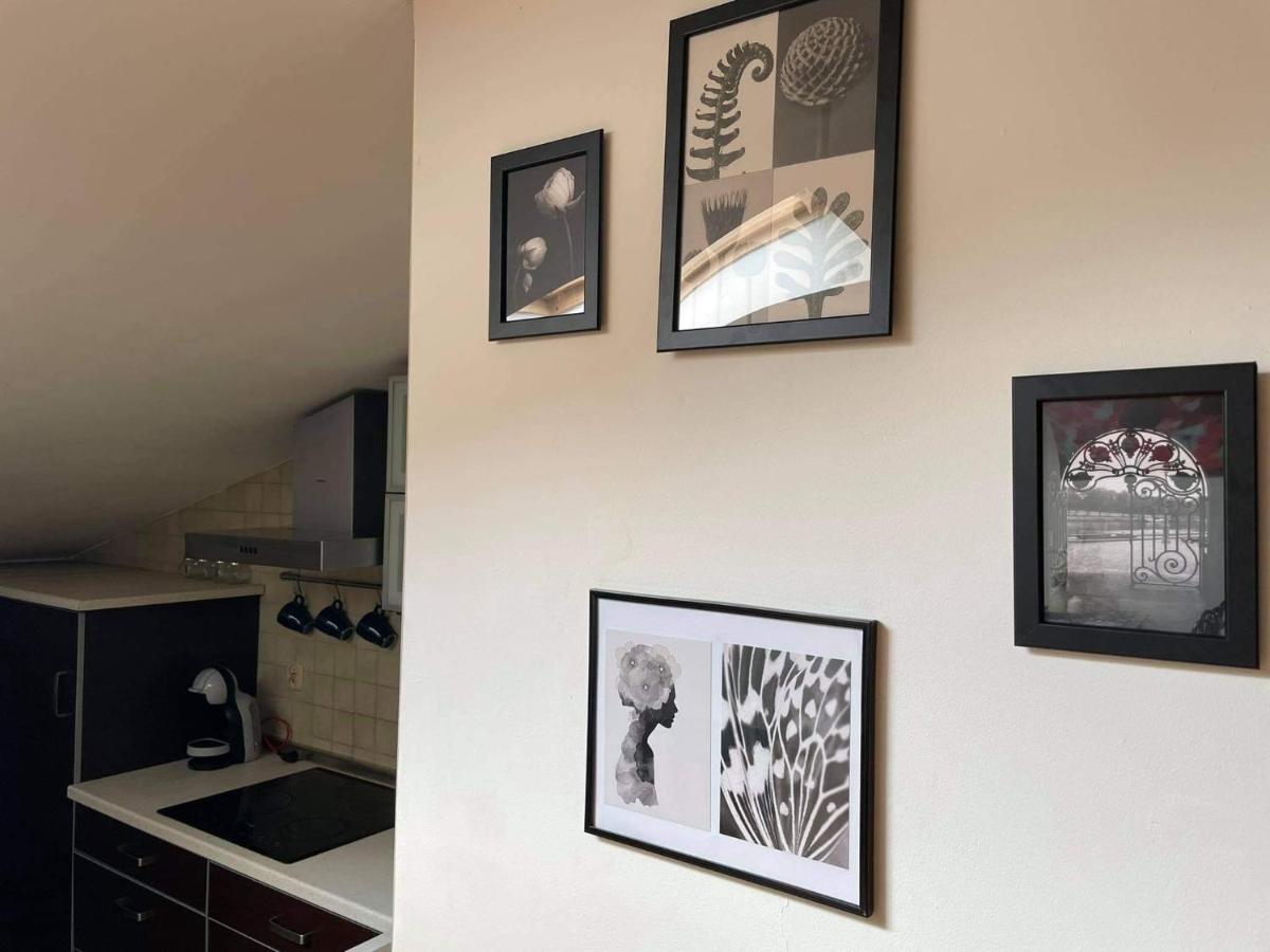 Apartament Studio Naleczow Ngoại thất bức ảnh